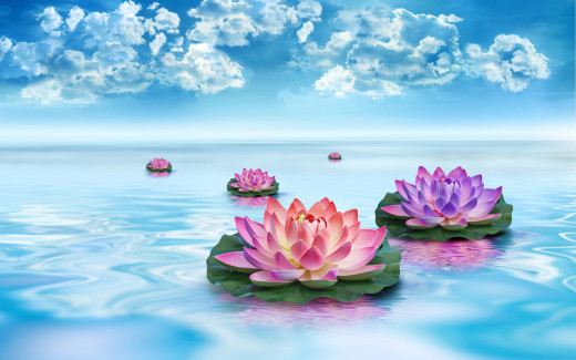 771445 (a): :2880x1800
